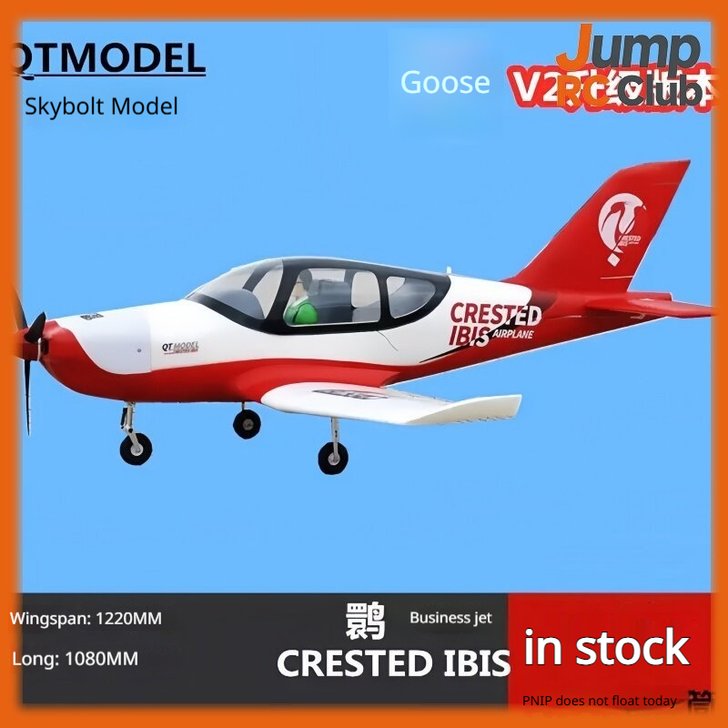 Rc Hobby Experts - Pesawat RC Model QT Remote Control