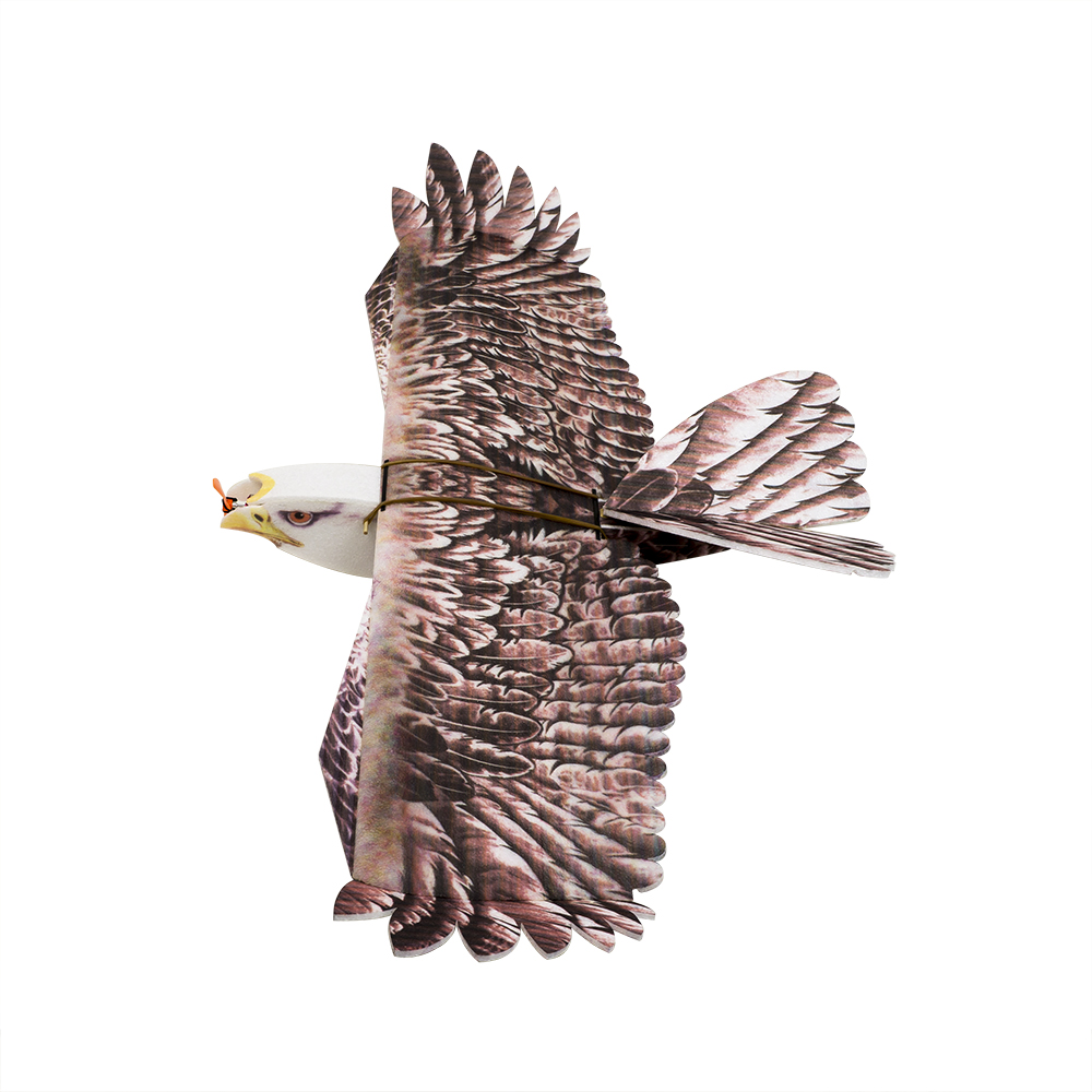 Rc Hobby Experts - Pesawat RC DW Hobby Eagle II
