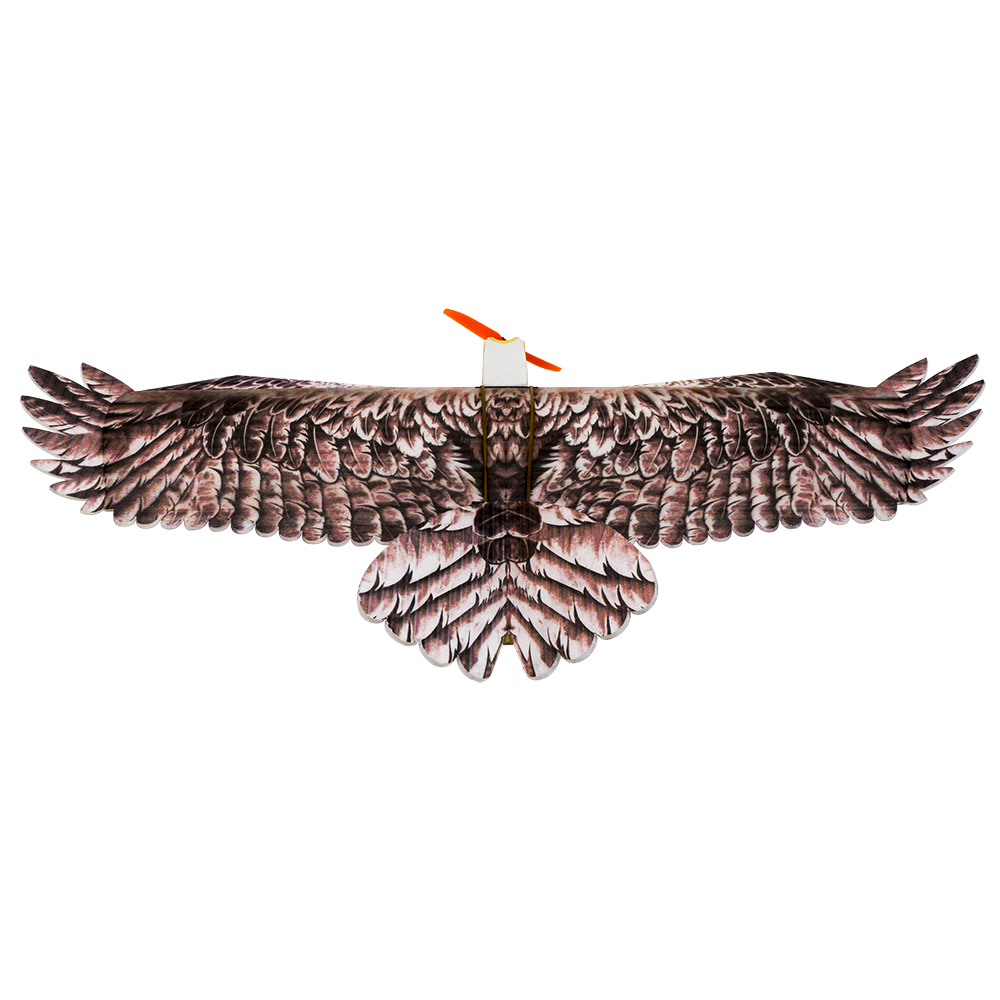 Pesawat RC DW Hobby Eagle II E - Rc Hobby Experts ulasan dan harga